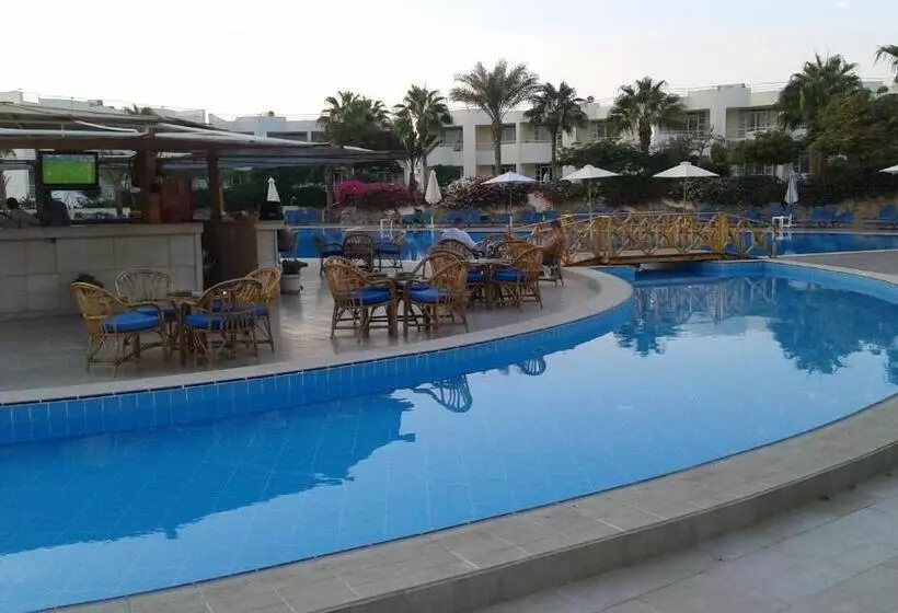 Fotos del hotel Sharm Reef Resort:  19