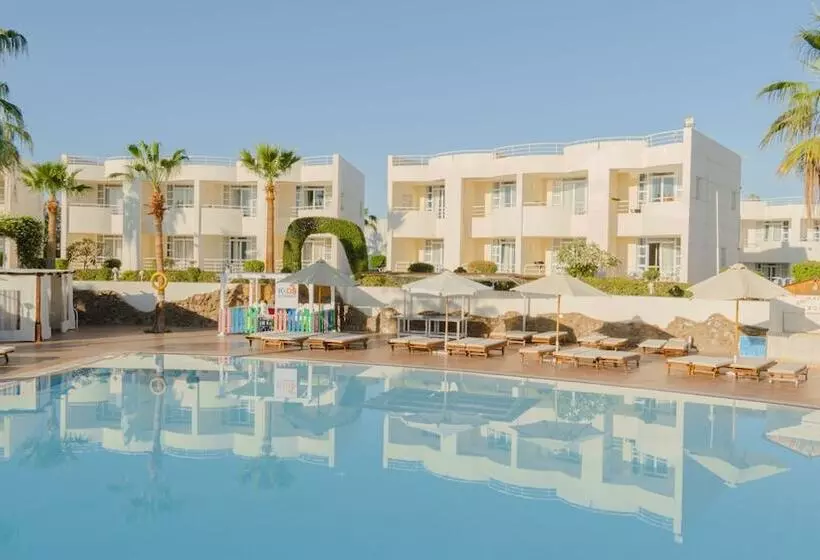 Fotos del hotel Sharm Reef Resort:  24