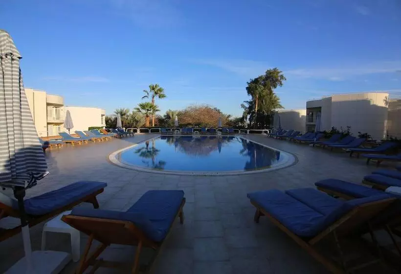 Fotos del hotel Sharm Reef Resort:  14