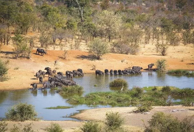 Fotos del hotel Victoria Falls Safari Suites:  21