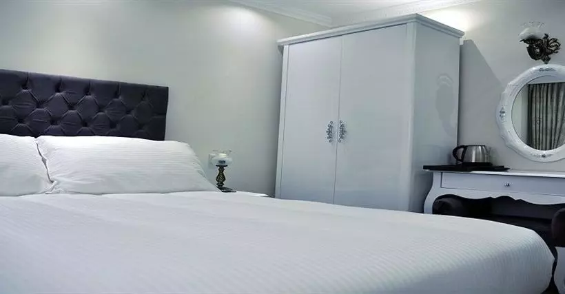 Fotos del hotel World Heritage Hotel Istanbul:  22