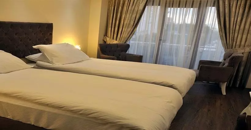 Fotos del hotel World Heritage Hotel Istanbul:  13