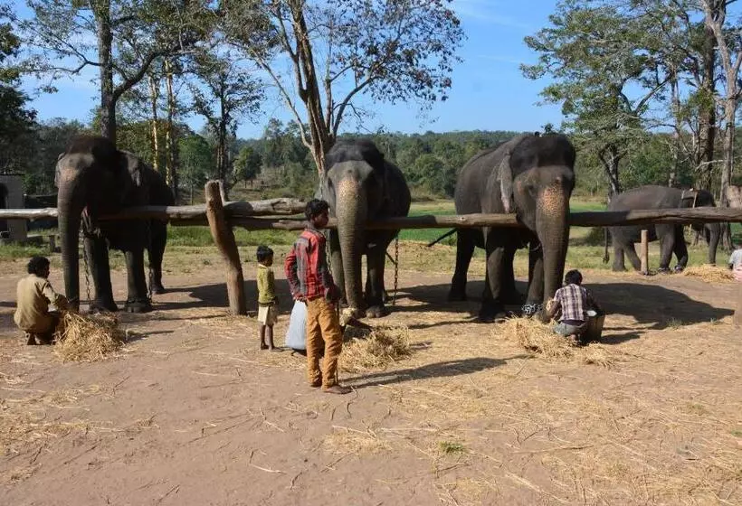 Fotos del hotel Red Earth Kabini:  22