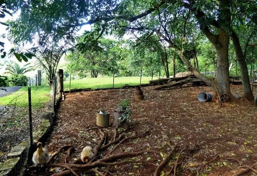 Fotos del hotel Alstonville Country Cottages:  11