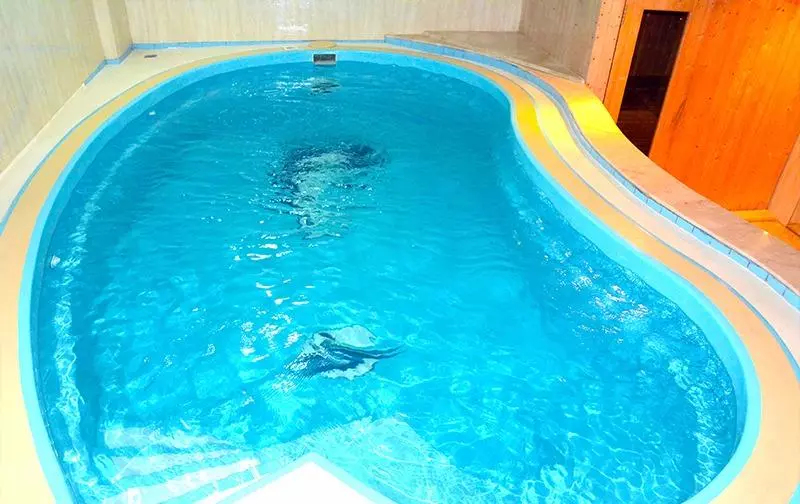 Fotos del hotel Crown Tower:  11