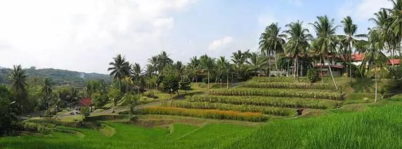 Fotos del hotel Puri Asri Hotel & Resort:  16