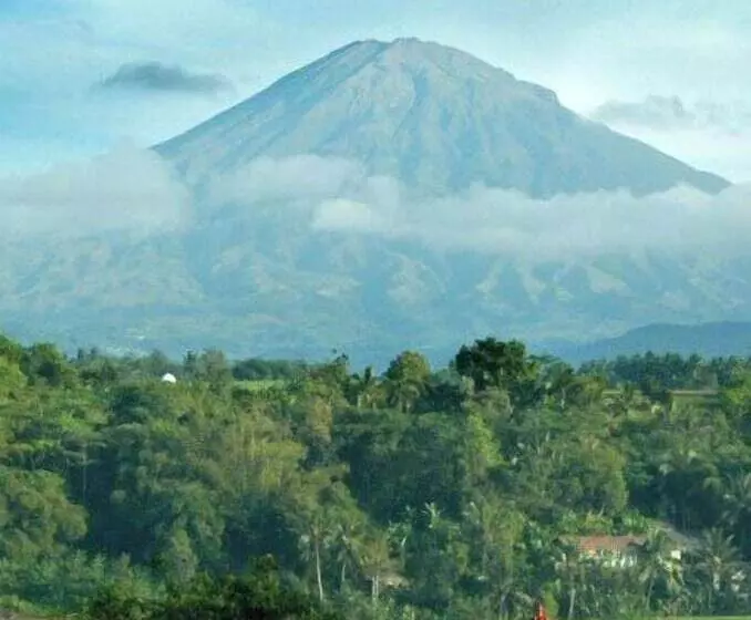 Fotos del hotel Puri Asri Hotel & Resort:  8