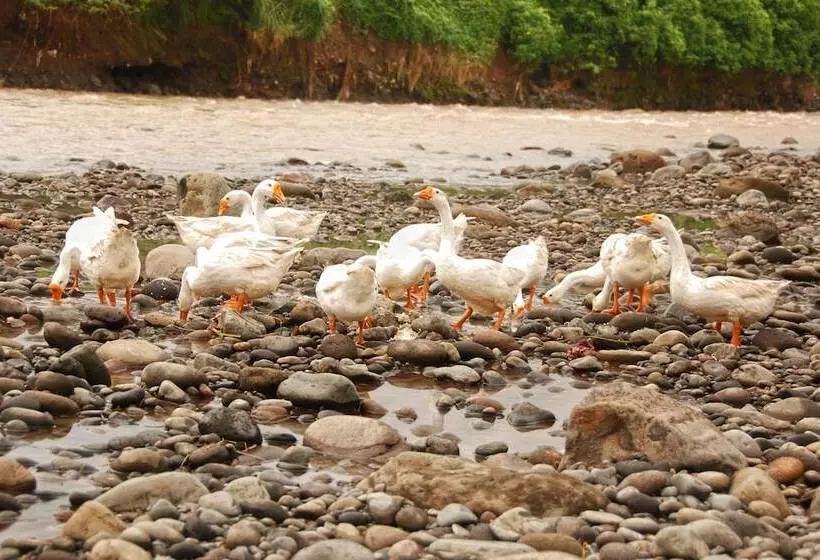 Fotos del hotel Puri Asri Hotel & Resort:  7