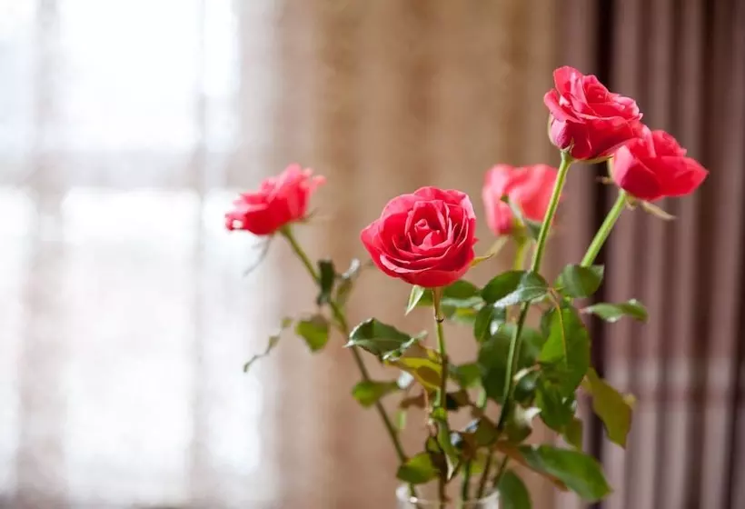 Fotos del hotel Silk Queen Hotel Hang Gai:  14