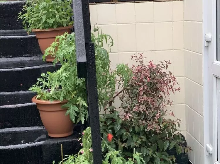 Fotos del hotel Alondra:  2