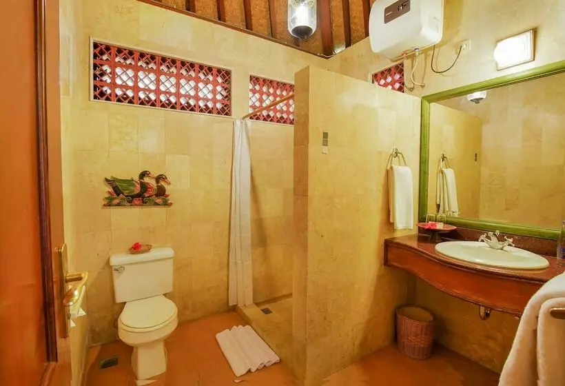 Fotos del hotel Villa Chempaka:  10