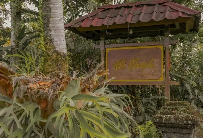 Fotos del hotel Villa Chempaka:  21