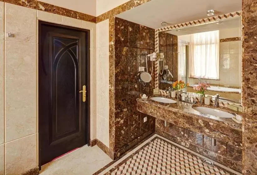 Fotos del hotel Atlas Deluxe:  21