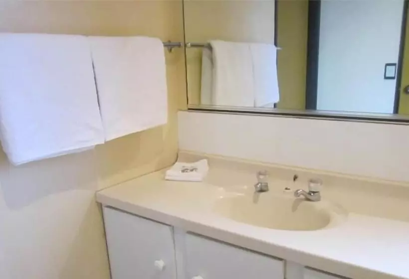 Fotos del hotel Ace Motor Lodge:  19