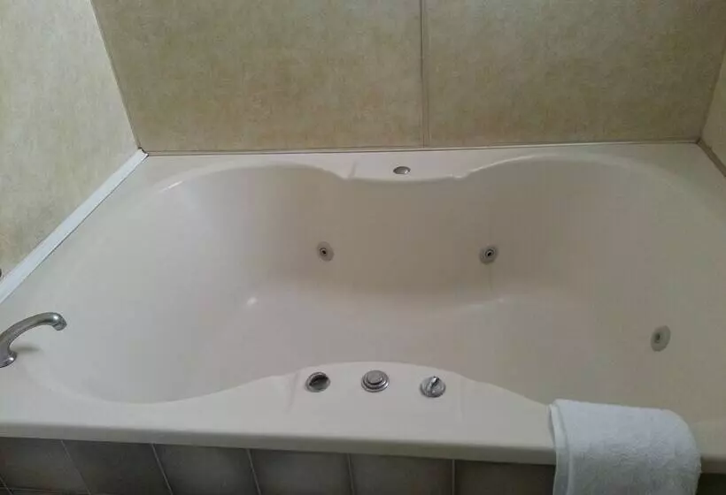 Fotos del hotel Ace Motor Lodge:  23