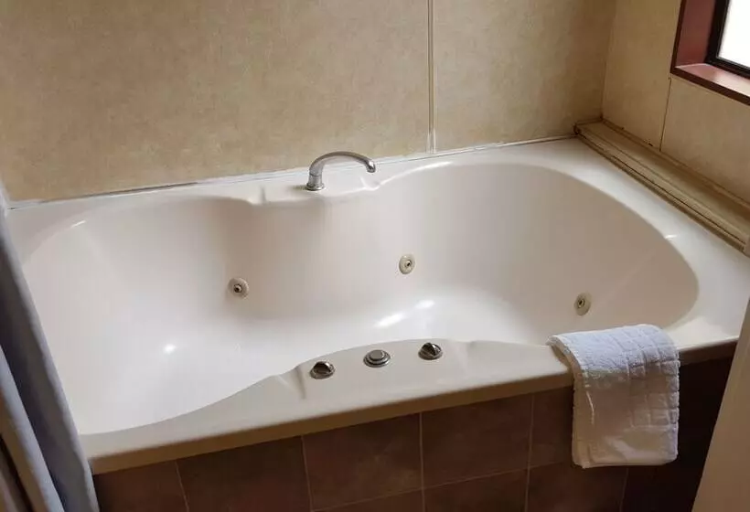 Fotos del hotel Ace Motor Lodge:  21