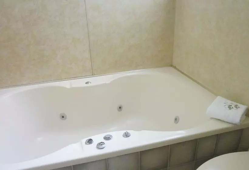 Fotos del hotel Ace Motor Lodge:  17