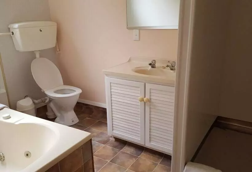 Fotos del hotel Ace Motor Lodge:  15