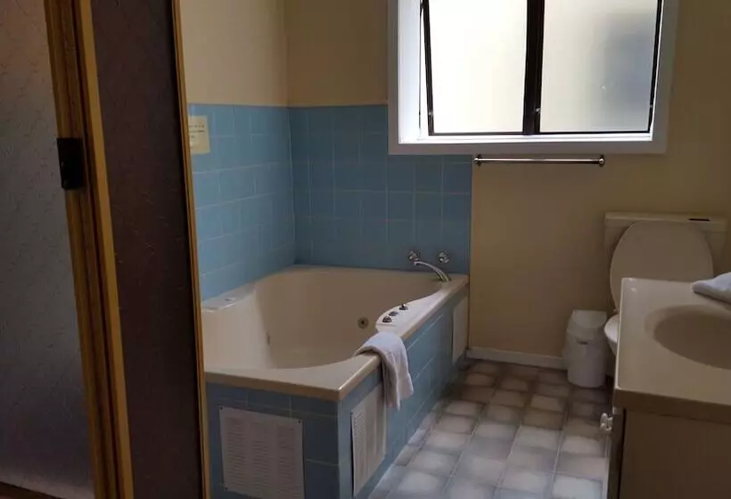 Fotos del hotel Ace Motor Lodge:  8