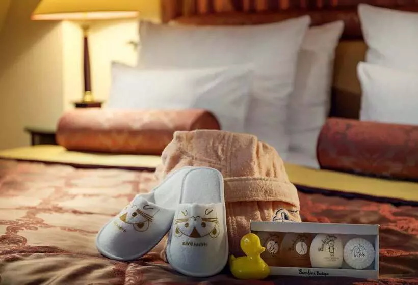 Fotos del hotel Ambiance:  17