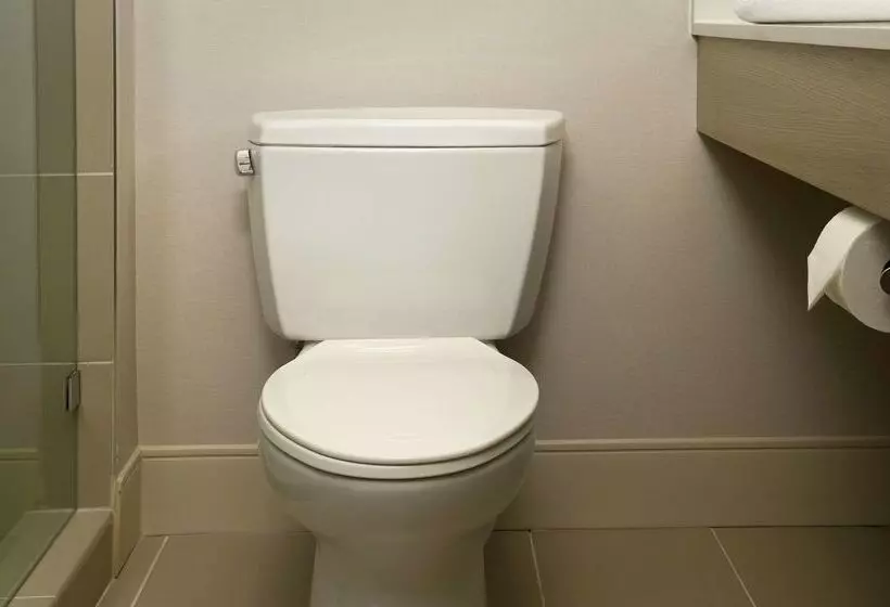 Fotos del hotel Hilton Garden Inn Miami South Beach:  10