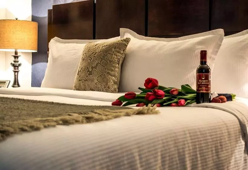 Fotos del hotel Suites Berna 12:  13