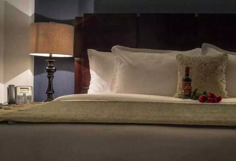 Fotos del hotel Suites Berna 12:  14