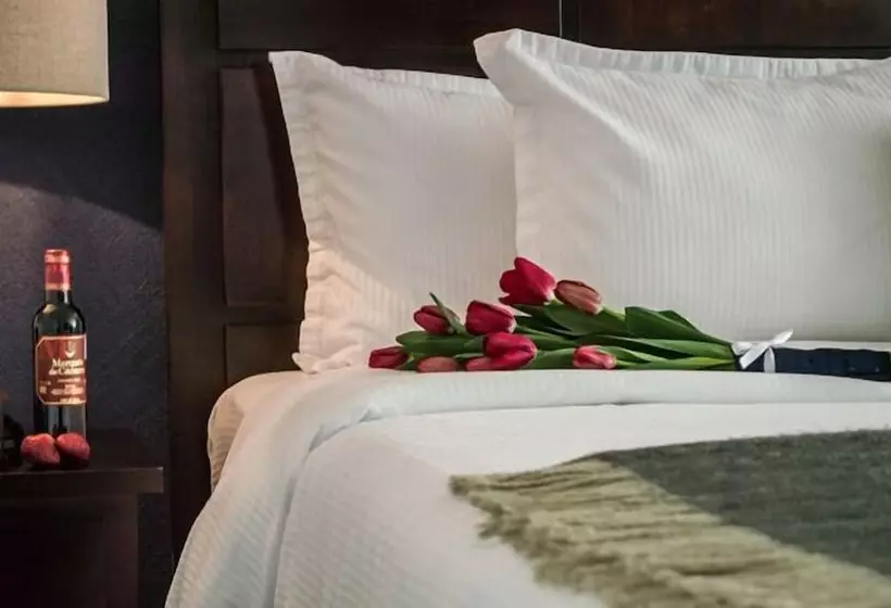 Fotos del hotel Suites Berna 12:  15