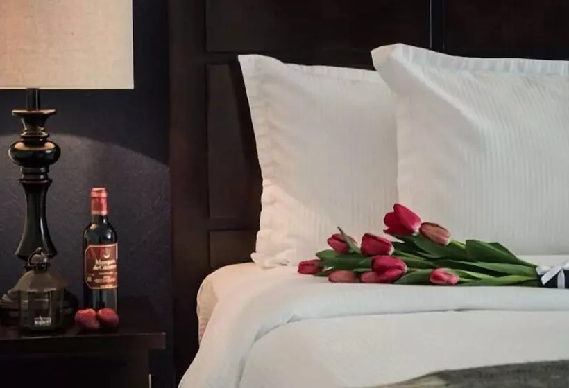 Fotos del hotel Suites Berna 12:  2