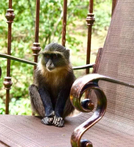 Fotos del hotel West Wood:  9