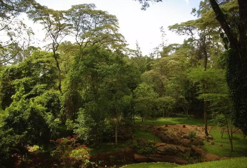 Fotos del hotel West Wood:  10