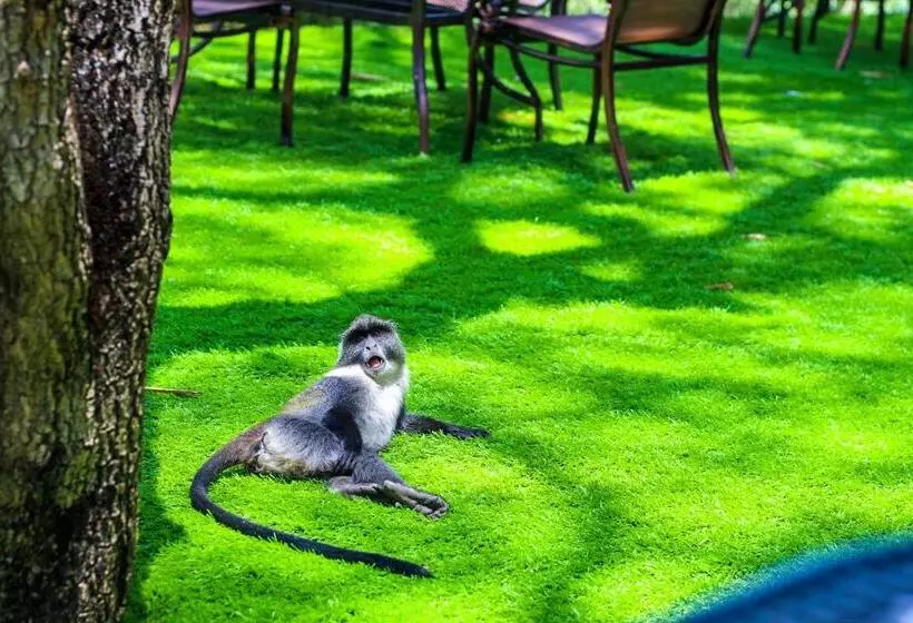 Fotos del hotel West Wood:  5