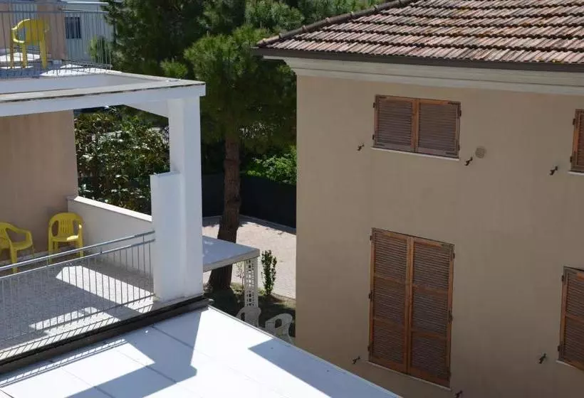 Fotos del hotel Trieste:  13