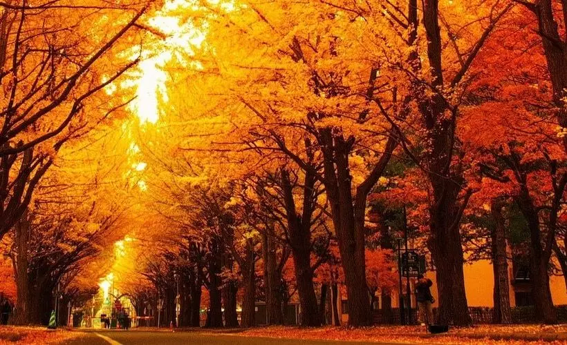 Fotos del hotel Tokyu Stay Sapporo:  12