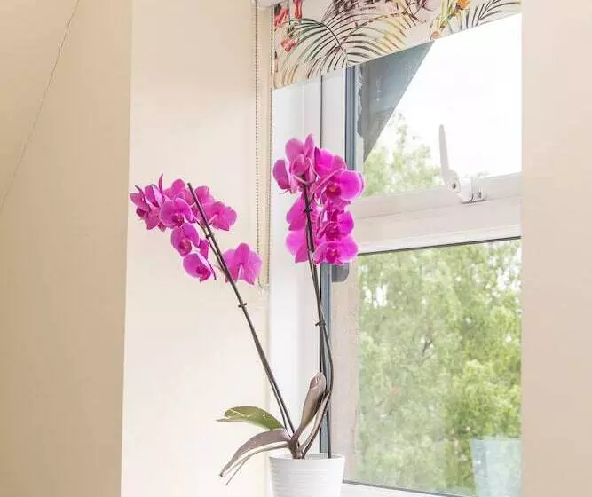 Fotos del hotel Beaumont House (adults Only):  12