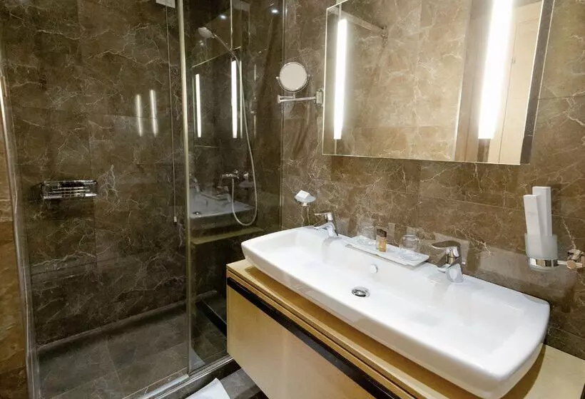 Fotos del hotel Best Western Premier Ark:  7