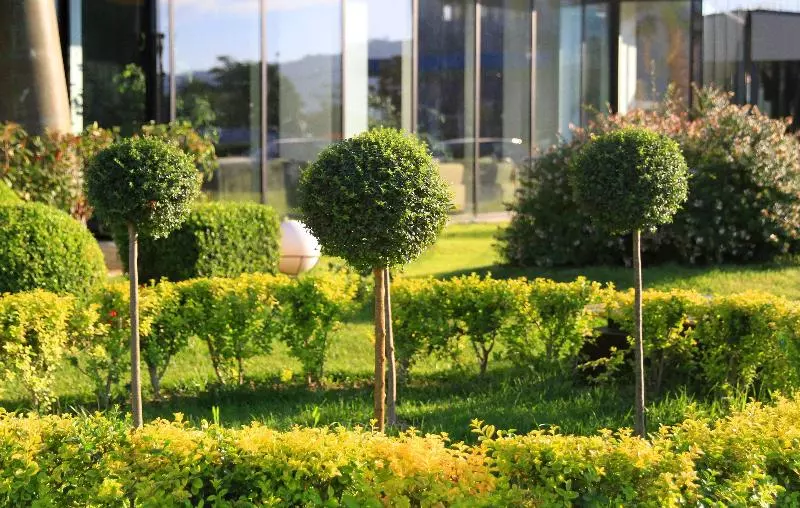 Fotos del hotel Best Western Premier Ark:  25