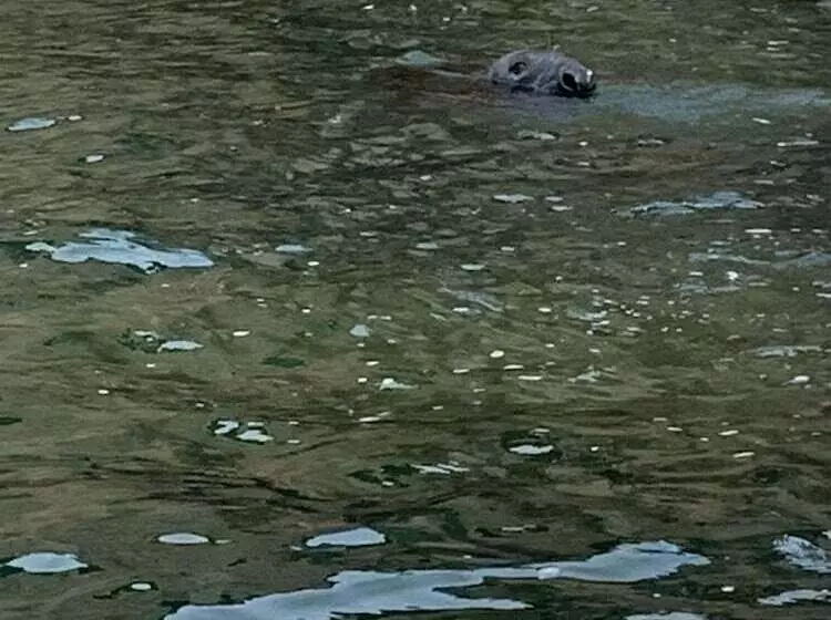 Fotos del hotel The Crown Lodge:  10