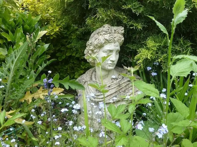 Fotos del hotel The Oak B&b:  4