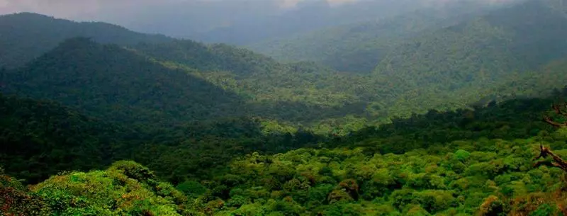 Fotos del hotel Fonda Vela:  8