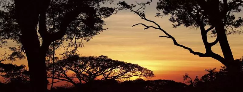 Fotos del hotel Fonda Vela:  18