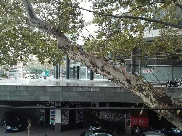 Fotos del hotel Garden View:  23