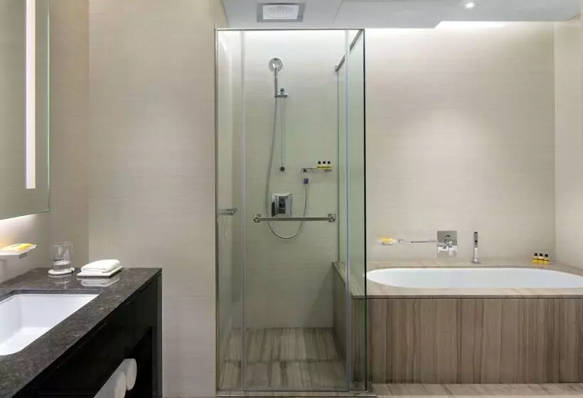 Fotos del hotel Hyatt Regency Dubai Creek Heights:  6