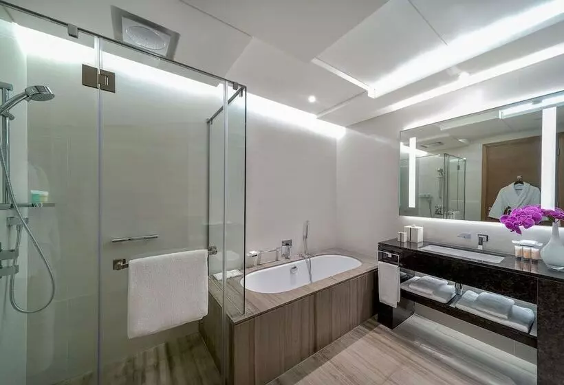 Fotos del hotel Hyatt Regency Dubai Creek Heights:  13