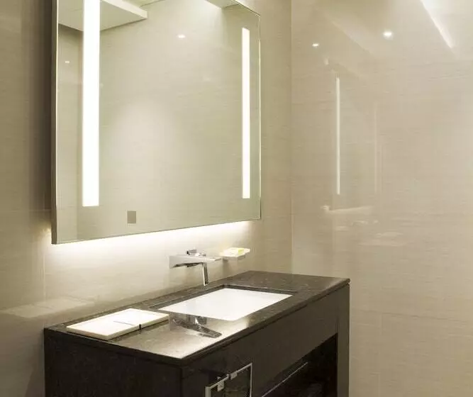 Fotos del hotel Hyatt Regency Dubai Creek Heights:  25