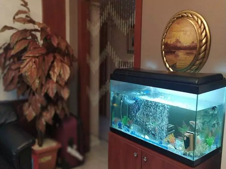 Fotos del hotel Letter:  7