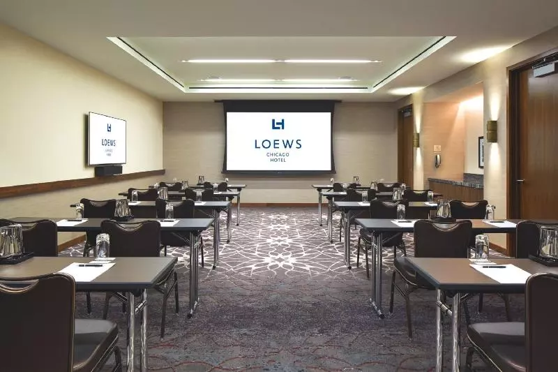 Fotos del hotel Loews Chicago:  6