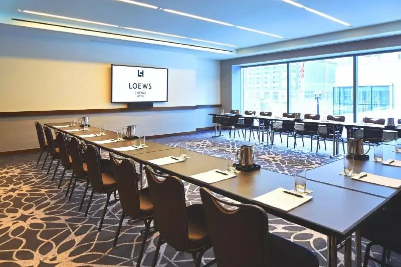 Fotos del hotel Loews Chicago:  13