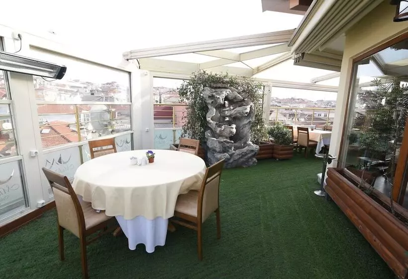 Fotos del hotel Midmar:  5