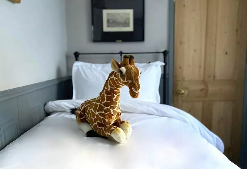 Fotos del hotel 27 Brighton Guesthouse:  20